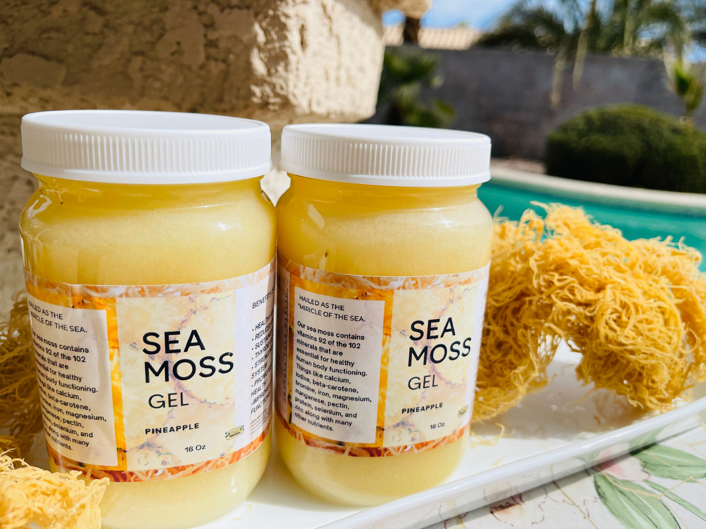 Sea Moss Gel Pineapple Flavored | 100% Natural Organic | Helps Boost Immunity, Digestion, Metabolism | Pineapple Sea Moss Gel - 16Oz