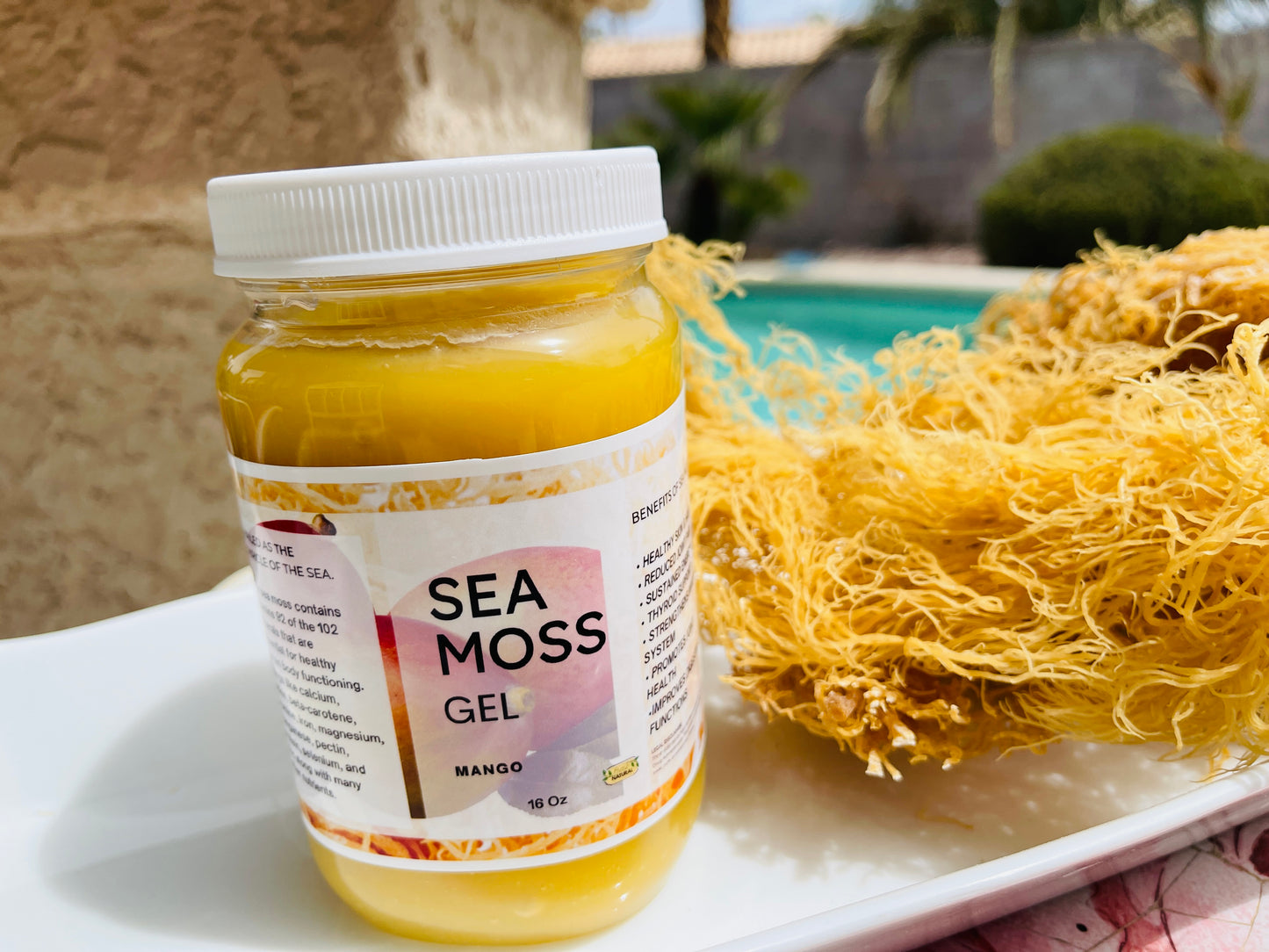Sea Moss Gel Mango Flavored | 100% Natural Organic | Helps Boost Immunity, Digestion, Metabolism | Mango Sea Moss Gel - 16Oz